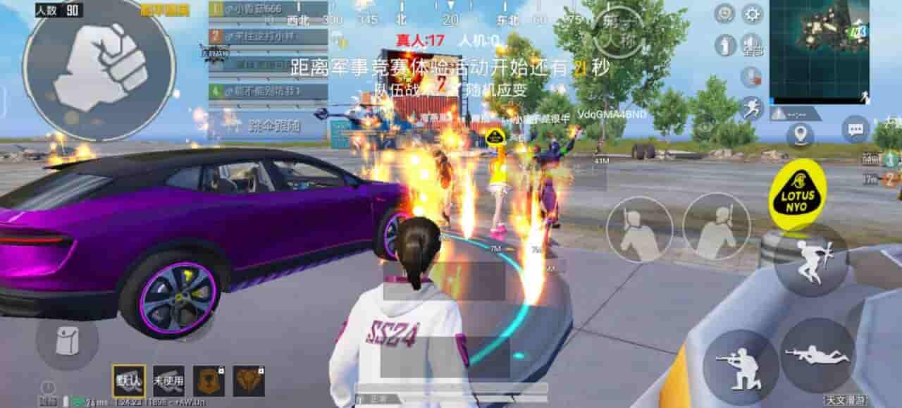 和平精英九色鹿辅助